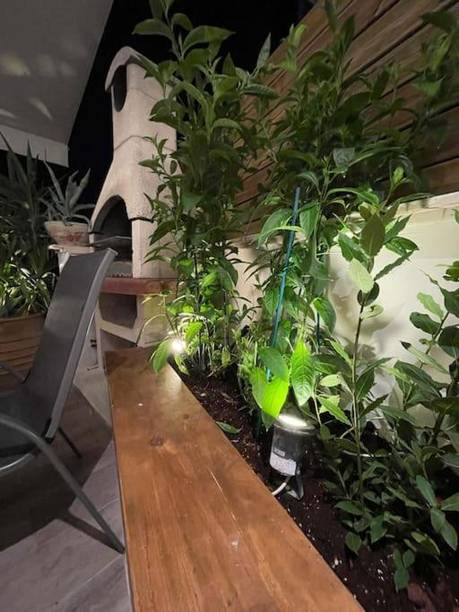 Apartment Acropolis Lux *